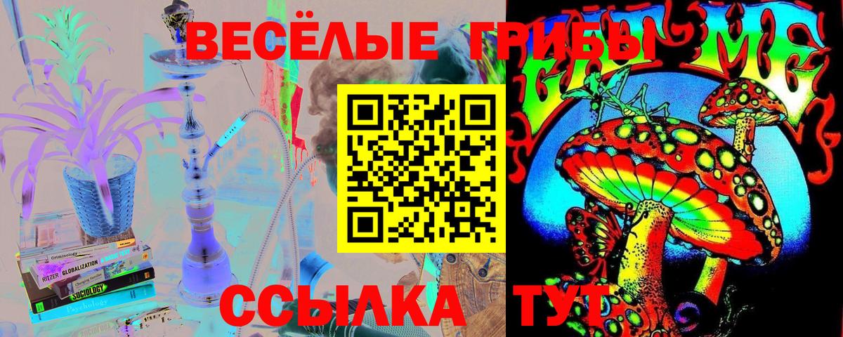 Псилоцибиновые грибы MAGIC MUSHROOMS  Вход с VPN  Шарыпово 