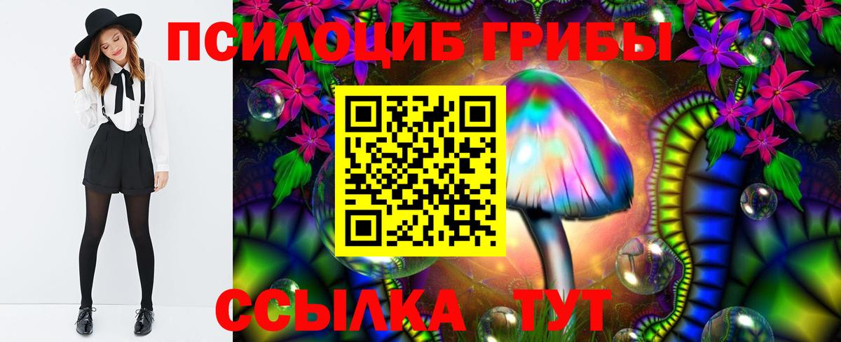 Галлюциногенные грибы Psilocybe Шарыпово